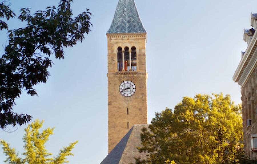 McGraw Tower in summer