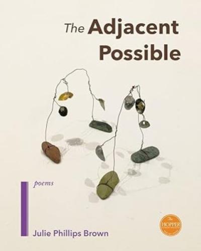 the adjacent possible by Julie Phillips Brown, MFA '08, PhD '11 book cover