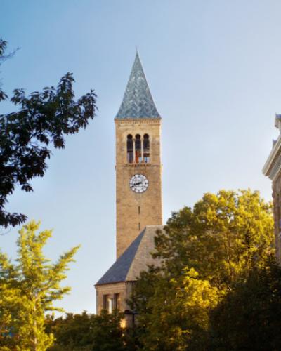 McGraw Tower in summer