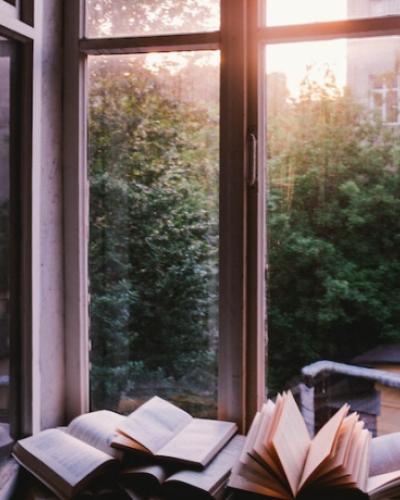 photo of books on a windowledge